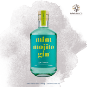 Firebox Mint Mojito Gin Liqueur 500ml 20% ABV-02-sq grey bb